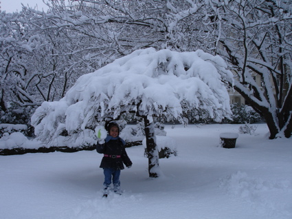 2 Feb snow 8.jpg